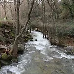 La Garzona