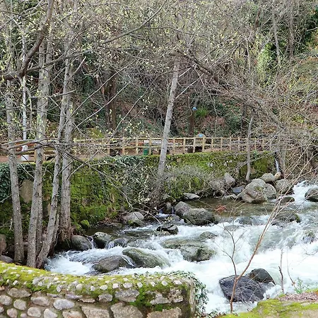 La Garzona *