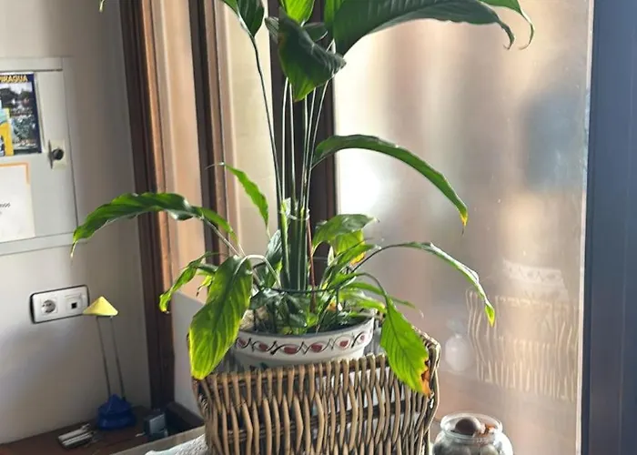 Landhuis La Garzona Losar De La Vera